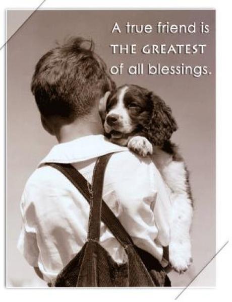 Friends Like Blessings