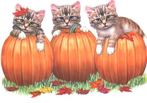 halloween bingo cats