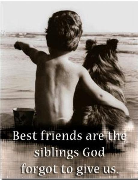 Friends Like Siblings