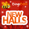 Online Bingo Lingo