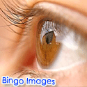 Bingo Images