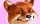 Foxy Bingo