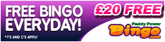 paddy power bingo bonus